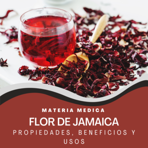 Cup of hibiscus tea and dry hibiscus flowers