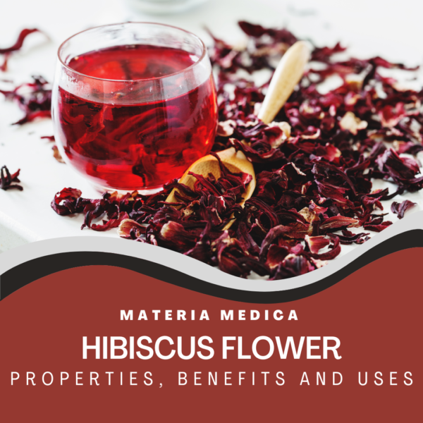 Cup of hibiscus tea and dry hibiscus flowers